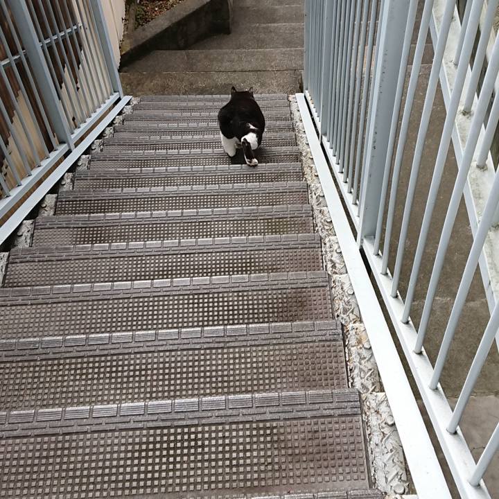 9372f9a9 d604 49a8 b5b9 d1e5925cc763 1627617284269