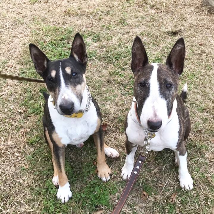 937309df 0f16 41c1 a6b1 5eb1d5c61825 1509779100257