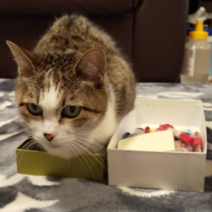 937363fa 777b 4a90 80e1 ac98e1b610c9 1768432400067