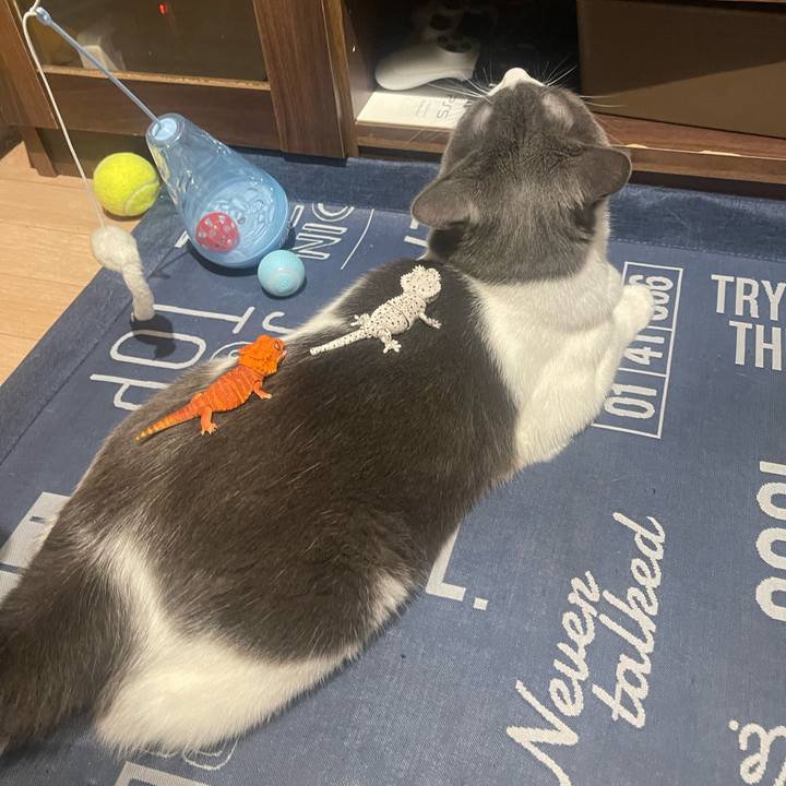 93737810 6b17 4b03 b176 807c29640eb4 1692445640526