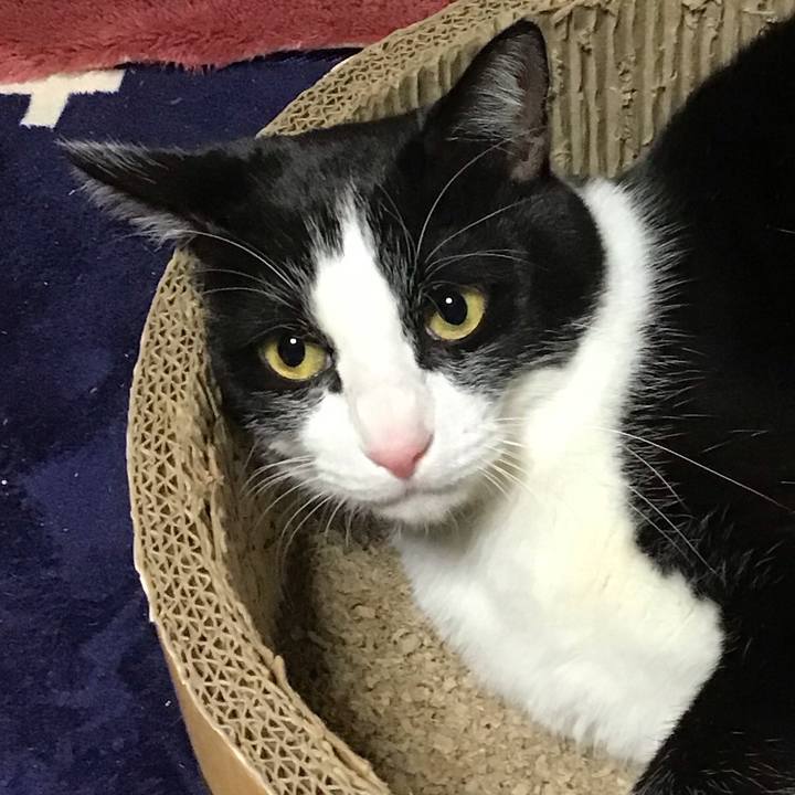 93738dfd 8648 4fd7 a578 38da26c69789 1736669441203