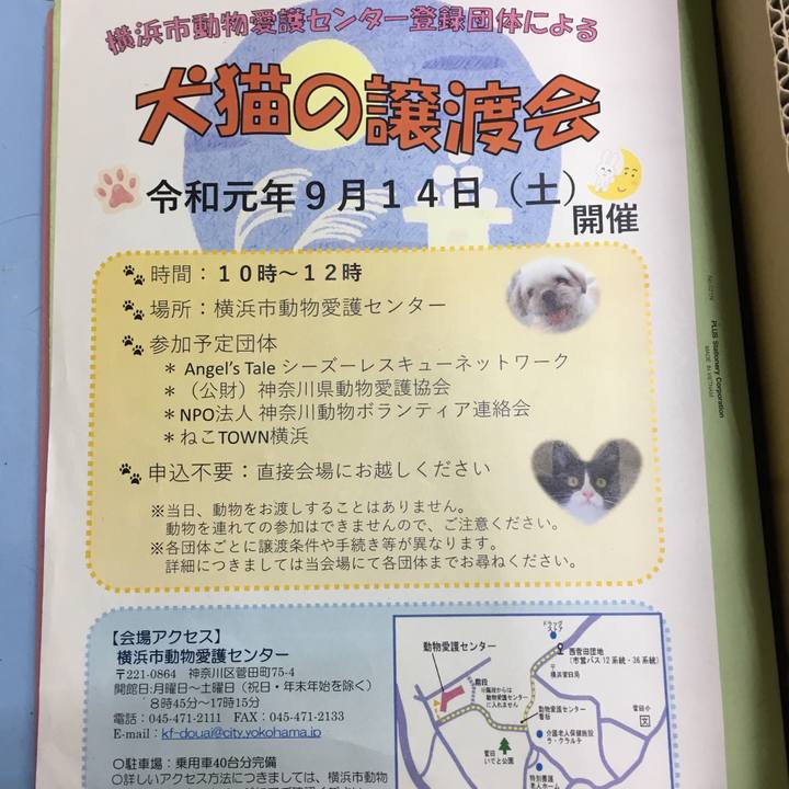 9373ba63 827e 4621 97e9 2141d321d364 1567503259531