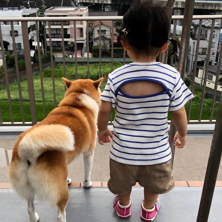 937410be 0c04 4ebf 890c f98ddd650030 1566697893021