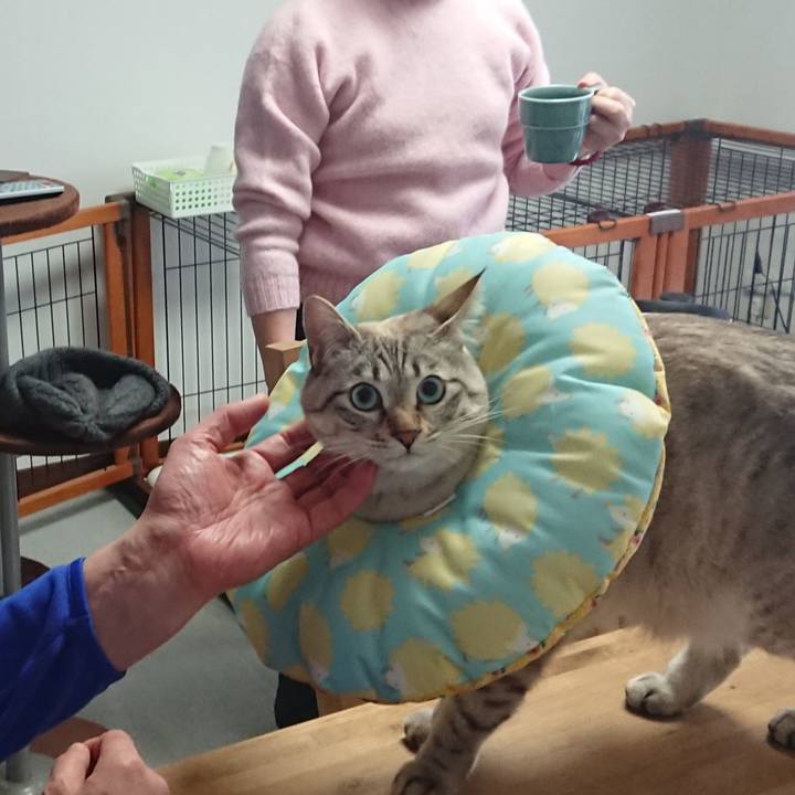 93742bc4 c225 4629 a960 9926aaf5a79b 1517122022397