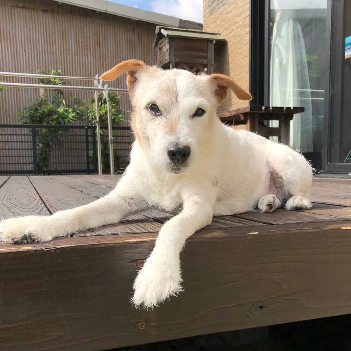 93743356 c75e 4041 999d db303bf865ad 1603803946348