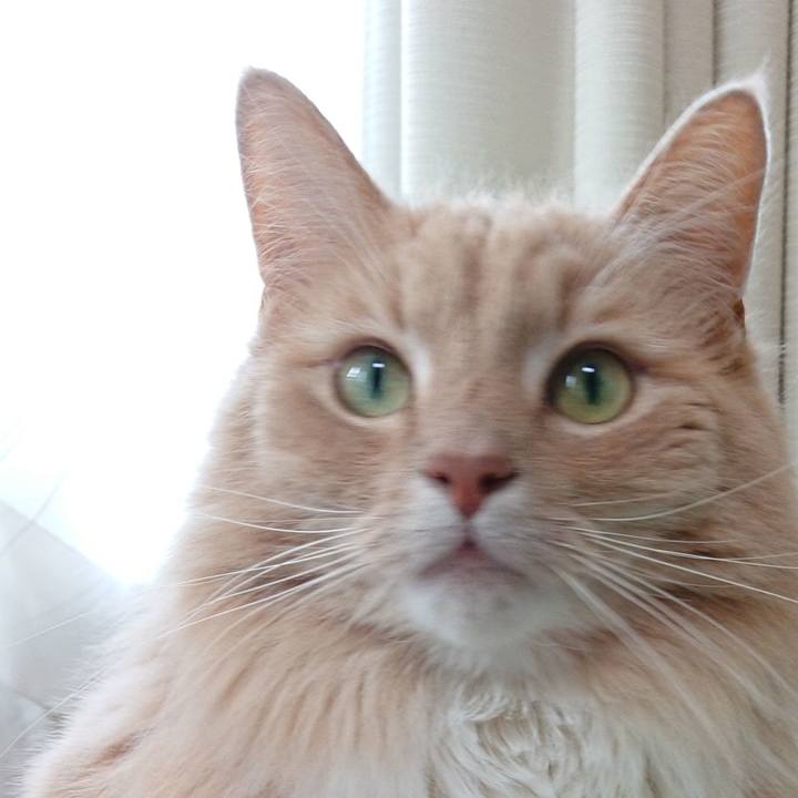 937438dc 6df5 40f0 b0eb 2cd8819cf06d 1553494882812