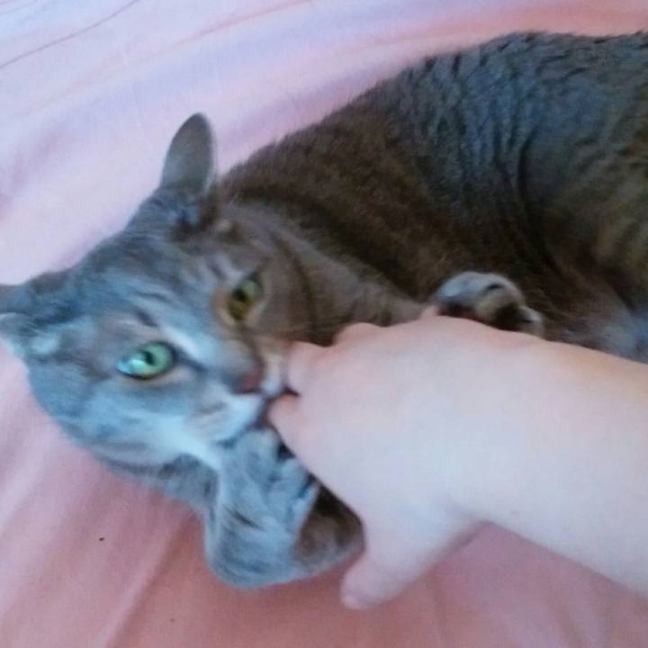 93743d1a 91f5 4833 9d25 b5475d9f3532 1587259247104