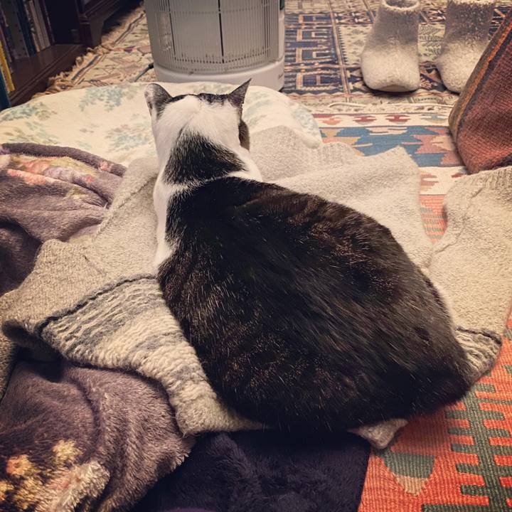 93745076 3572 45ed 9ae6 6c992fd61310 1578316879502