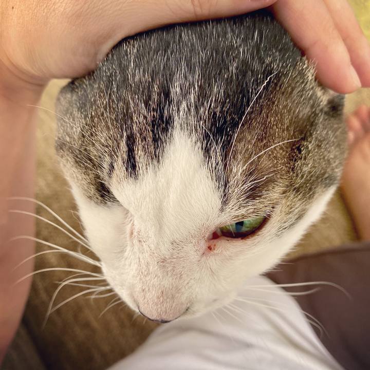 93745b96 1f50 4b29 a34f 35745089ea39 1592720612766