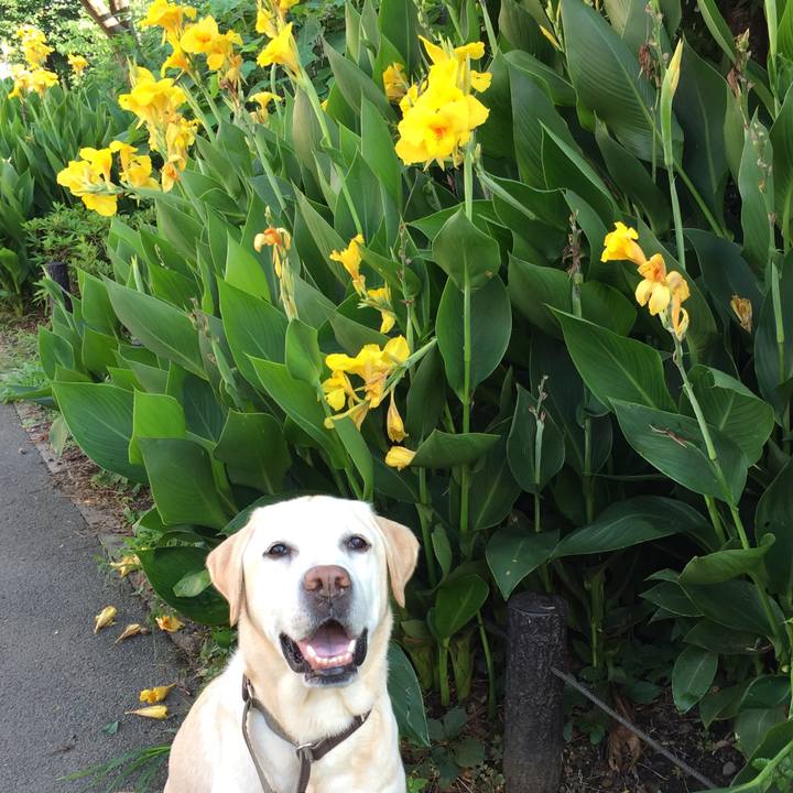 93746aa4 a311 4537 a3d0 af440a95b423 1530241121122