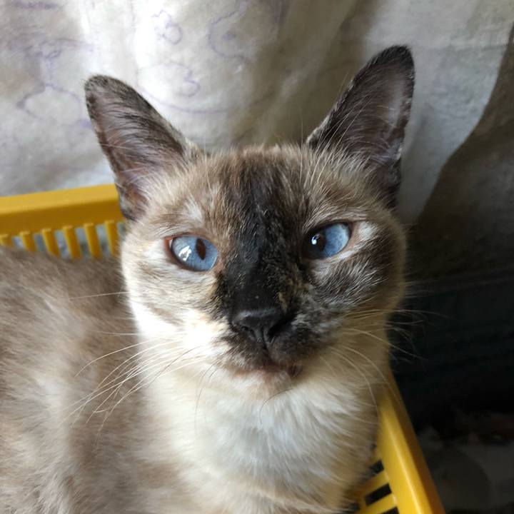 93746fe3 1c4f 4110 b0e4 cec89710e850 1564796067194