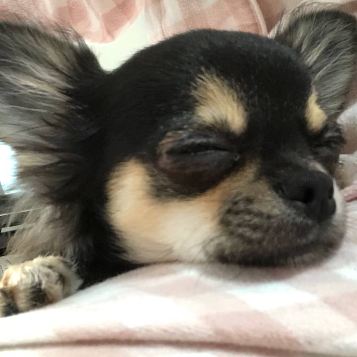 93748184 0912 42c8 ae17 37082ede300e 1541804127468