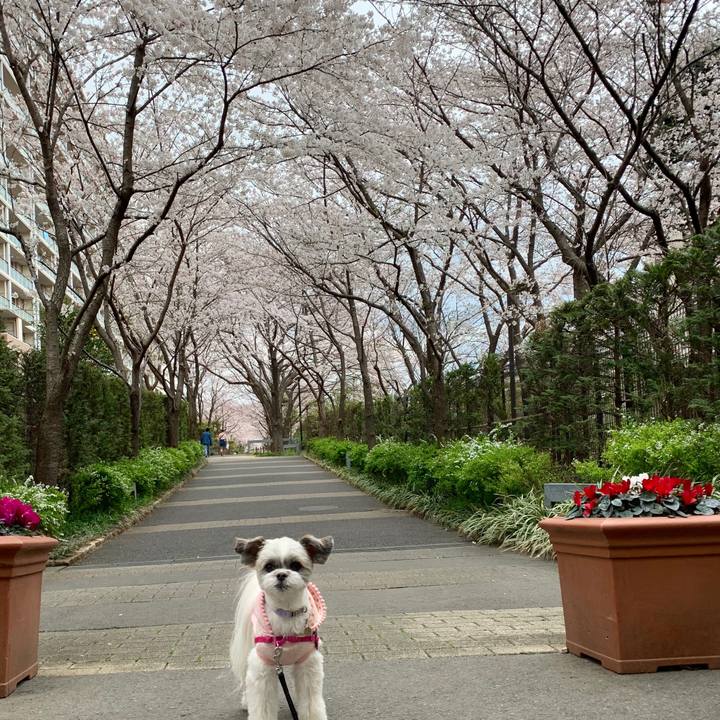 937489e5 0cd1 4f16 9373 9cde87dda72d 1554107980712