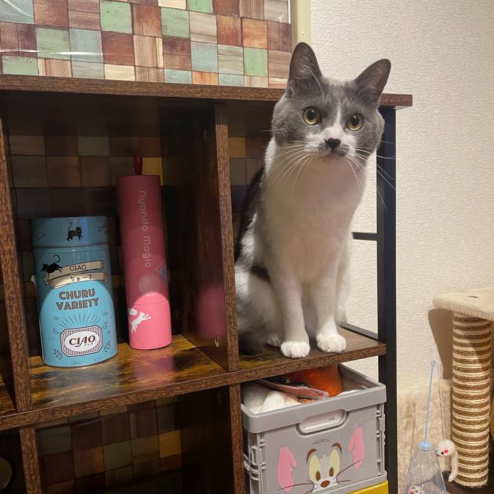 937502bc 4c03 4c87 8c83 baa59f0d6980 1699950843379