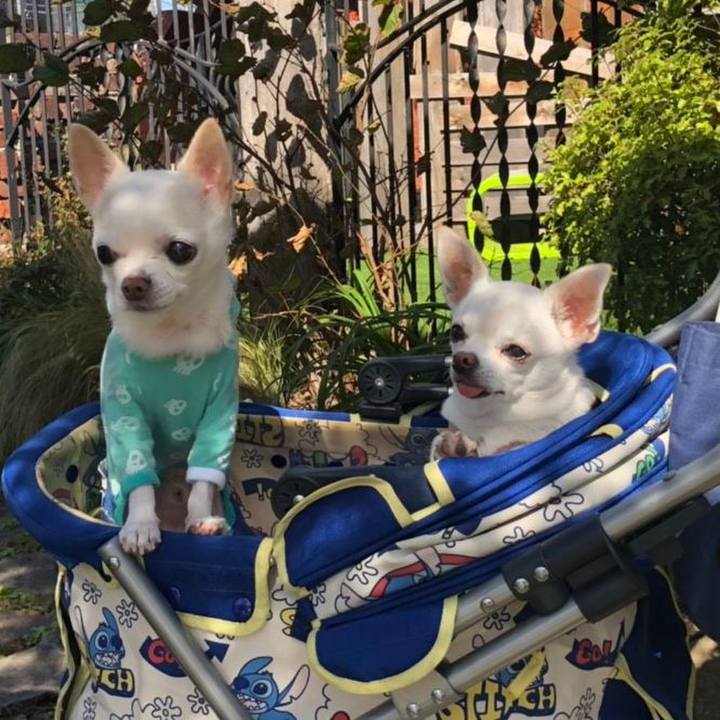 93750619 1931 44ff 9b67 7d170382255b 1540114202987