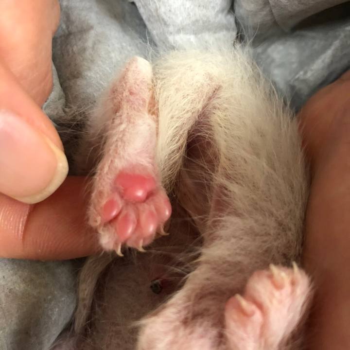 93750bcb bec0 4bdc 8429 5c609733acbf 1589801761620