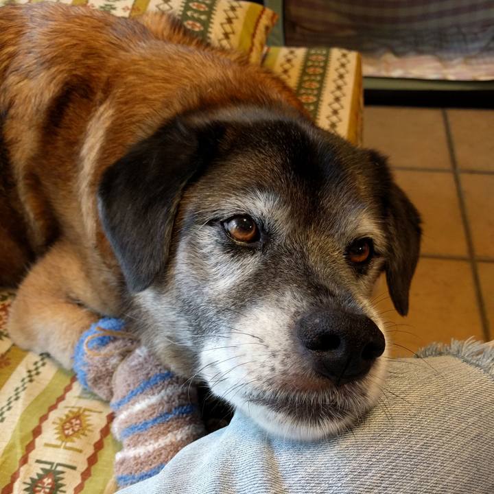 93752687 c35b 4f52 a8e2 84474b422f91 1527743438273