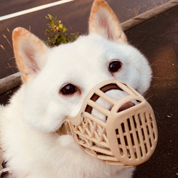 93756de8 20ef 4172 a107 775c797074d6 1602718778908