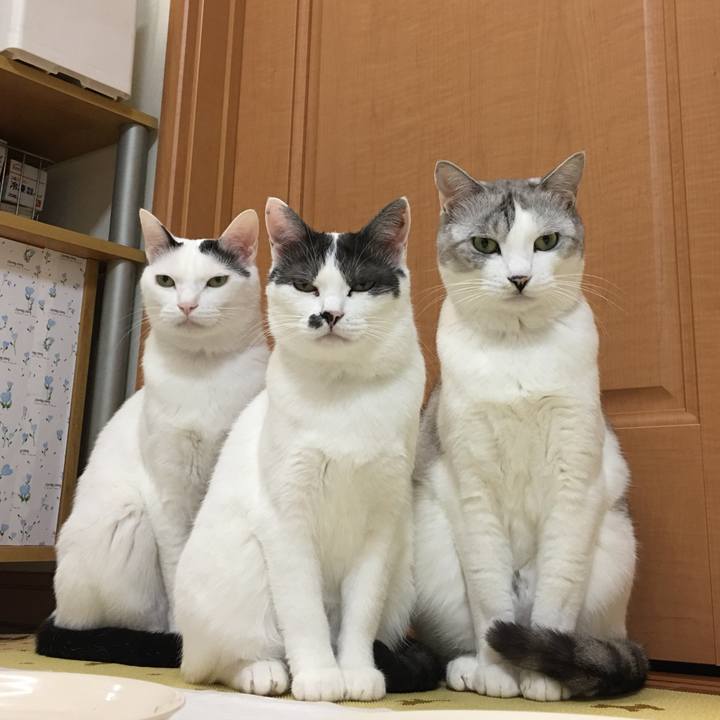 9375745b 4abe 48e7 accd 5c369c5f6d8c 1524226694022