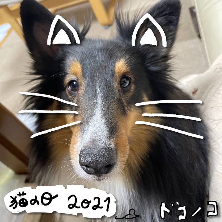 93758b6f a0ec 49c9 b63b 70c5ef8a0d12 1613993609948