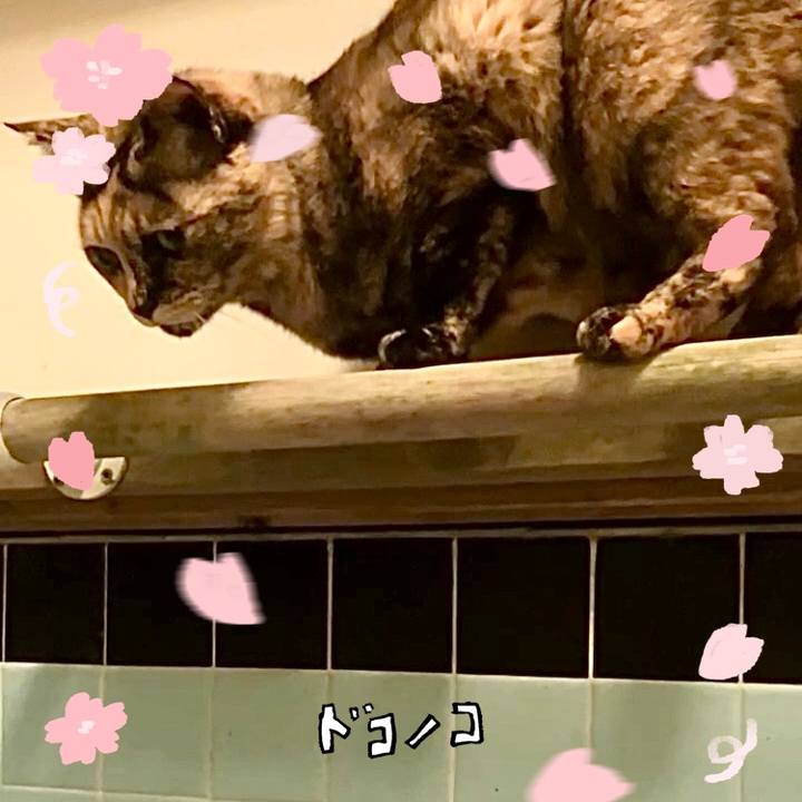 9375aebe a8f3 4002 9b17 376fbc37a7a3 1744295465294