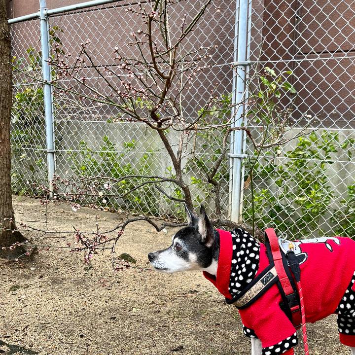 9375bd74 5027 4033 a45d 0d99b4ab3342 1645317014315