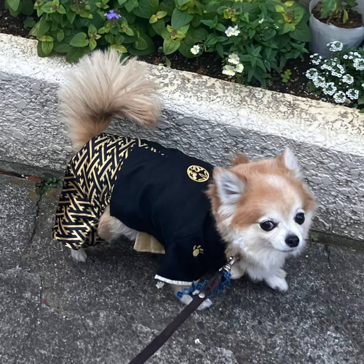 9375bdf3 76e5 4465 8535 d4233bb29f11 1767265639744