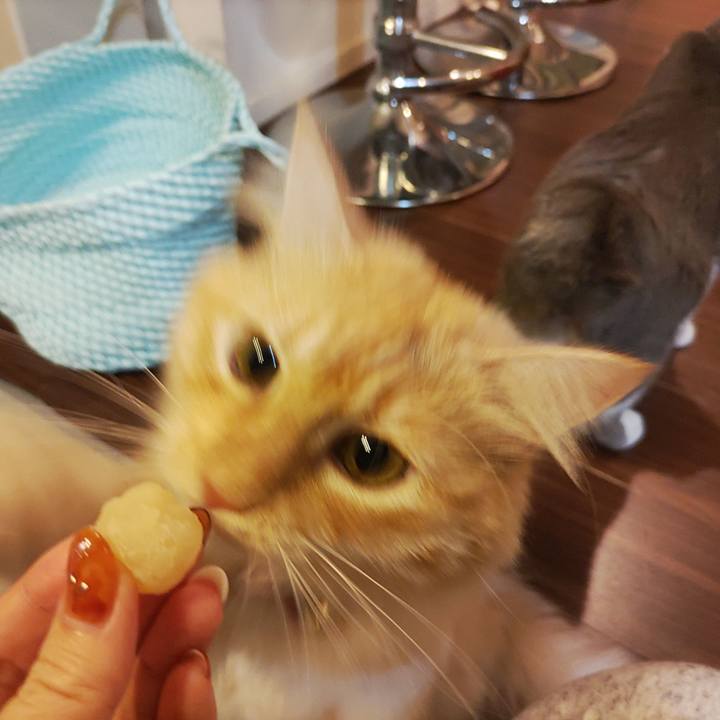 9375c047 dade 4ba4 b82a 40fc9b85466d 1662802806799