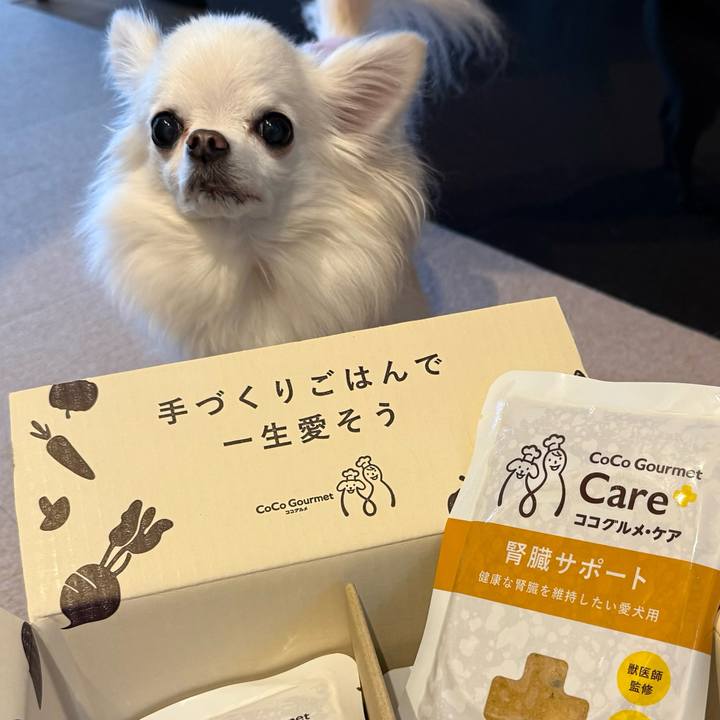 9375d2d6 1536 4bc6 9662 a77debf160c8 1733112643866