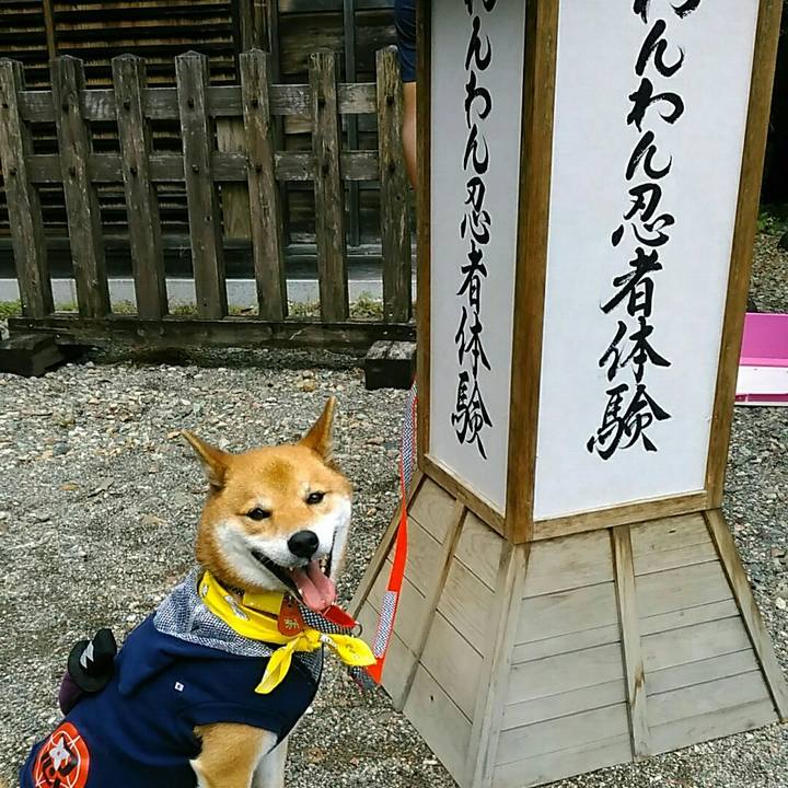 9375dcba 88ba 46a9 9ebc c59c047a3f55 1538822409338