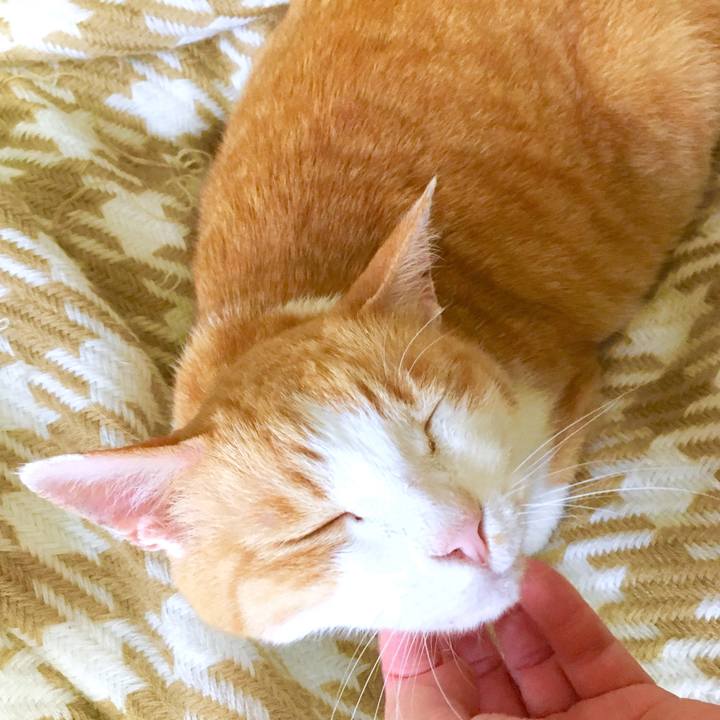 9375dfb0 1058 497e b7ee 7300f8746569 1563177732270