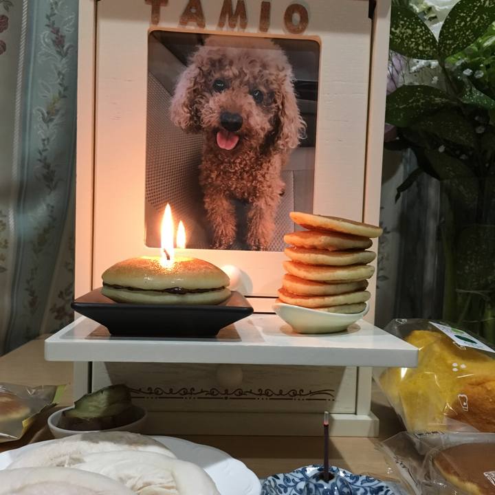 9375e7ff cc3d 4202 83d4 839396abc049 1593701594170