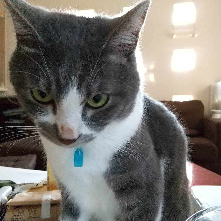 9375fb7e 6ecf 46a7 bce7 c532c6df811c 1626818512436