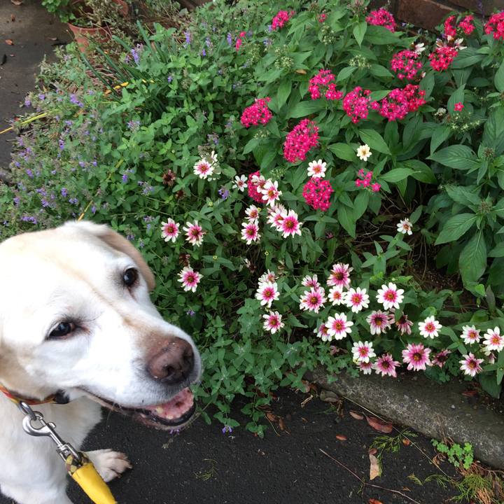 9375fb8f 1e8e 44ac 8666 66dc650c7198 1539743698364