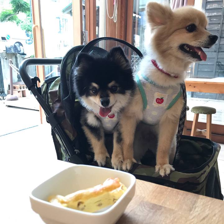 9376020c 8e3a 4f34 a499 5a6d3d4f0e79 1592007348634