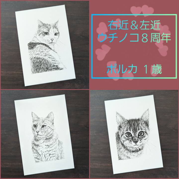 93761d7f 2577 43df b285 5bb628d4b24a 1723518077469