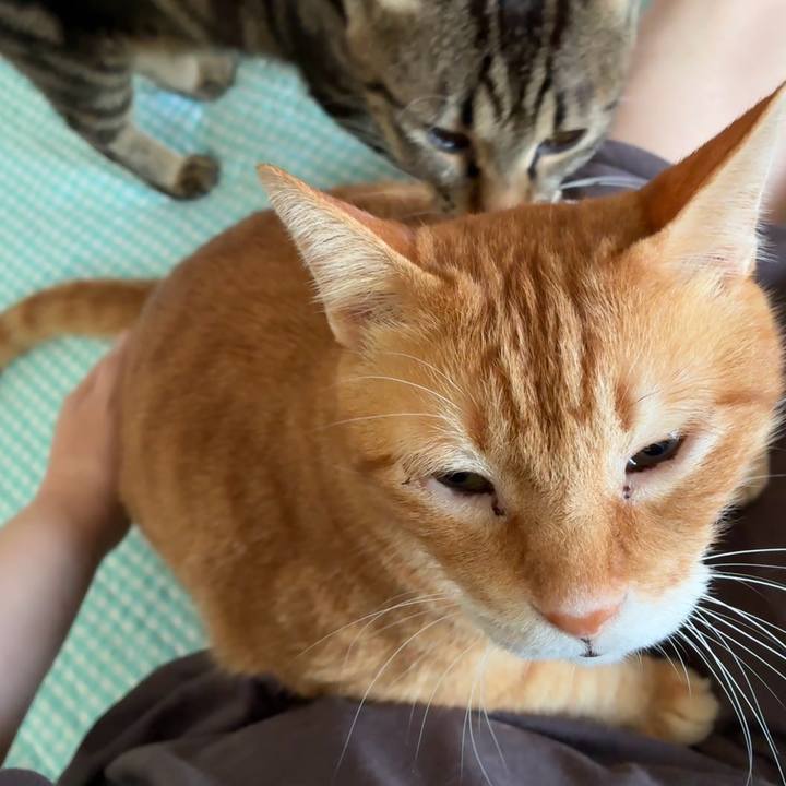 93762f66 81ad 4a39 be1a 98c22e21b0e2 1754427382194