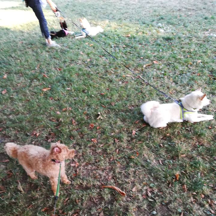 93763162 07d4 4227 a9a9 ffab4cdae82b 1564699541063