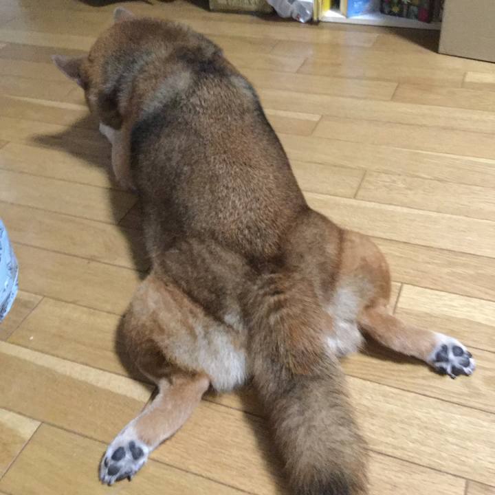 937633fb 0a44 4b24 9119 12bb613bcdfc 1597233862366