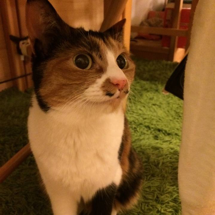 93764c09 eac3 4ab4 ba7b 0464e964f962 1528119982119