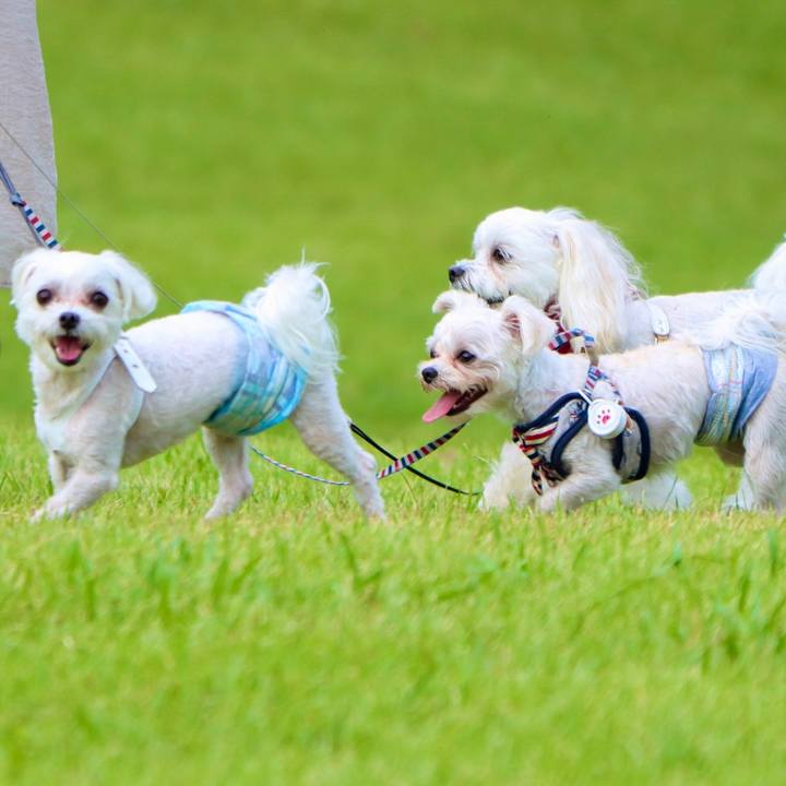 93767c72 45bb 4f59 b613 430cdf0c1244 1666069352587