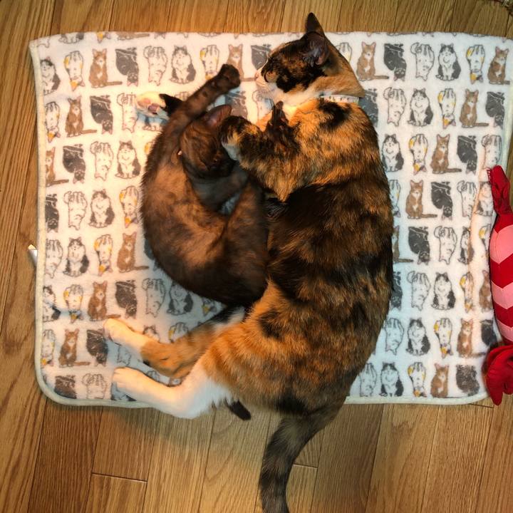 93769402 182e 4d86 ad95 2daacb916145 1607180982712