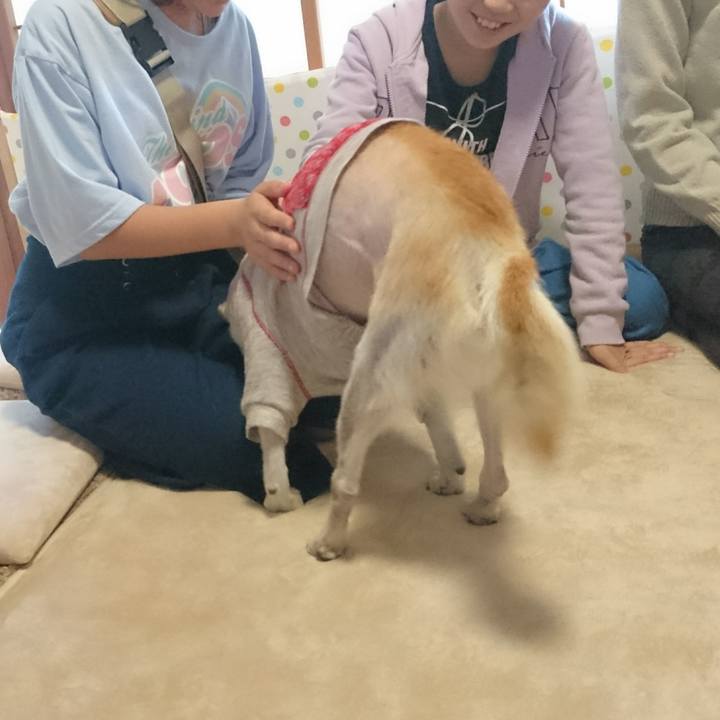 93769c47 3026 4a9f 9717 8c5149ba8799 1525514915484