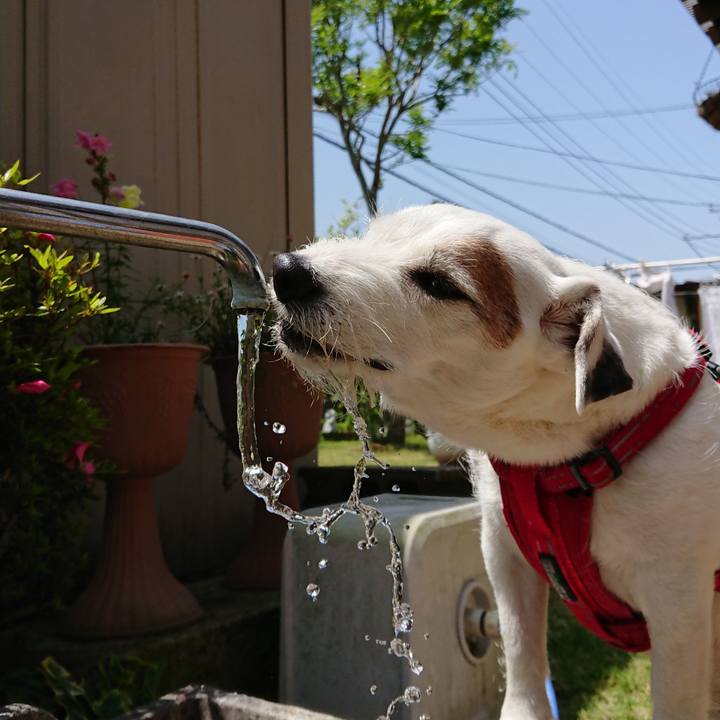 9376d8dd 3e89 4dd8 9142 2723d8f21b8f 1527464884483