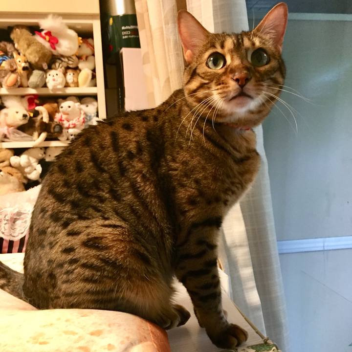 9376da5f 7f28 43ff b413 d4991c17fff6 1528416873408