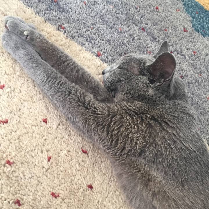 9376db36 e1bf 4901 b335 aa5a2e9840a5 1571095697779