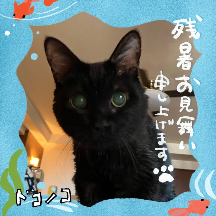 9376f5d5 48ea 48cc 9aa0 775993c0662d 1723710662043