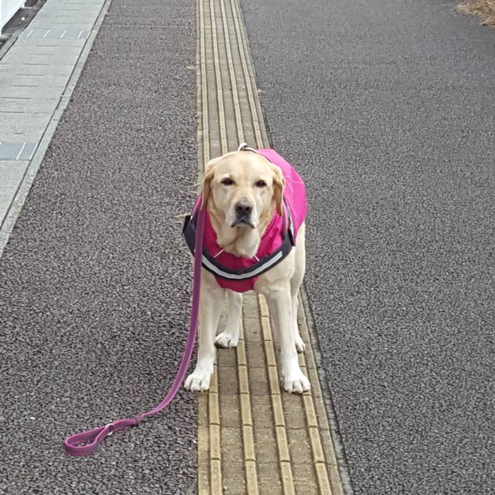 93774704 9508 4340 9cd1 992f04348ccb 1577352774481