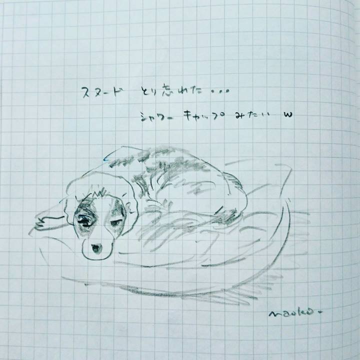 93778cb7 880c 4f1b ab2f c4ff31ac65e0 1560120769897