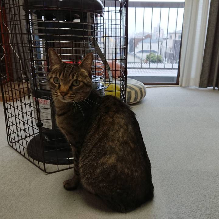 93779536 691e 466e 86d6 cee12fcb8124 1584165287959